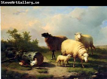 unknow artist Sheep 154